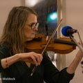 IMG 7919